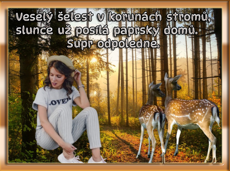 supr odpoledne