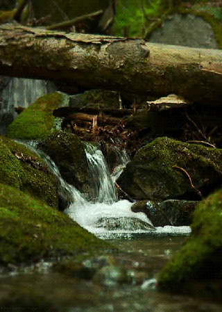 stažený soubor (1)