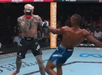 buvua.gif