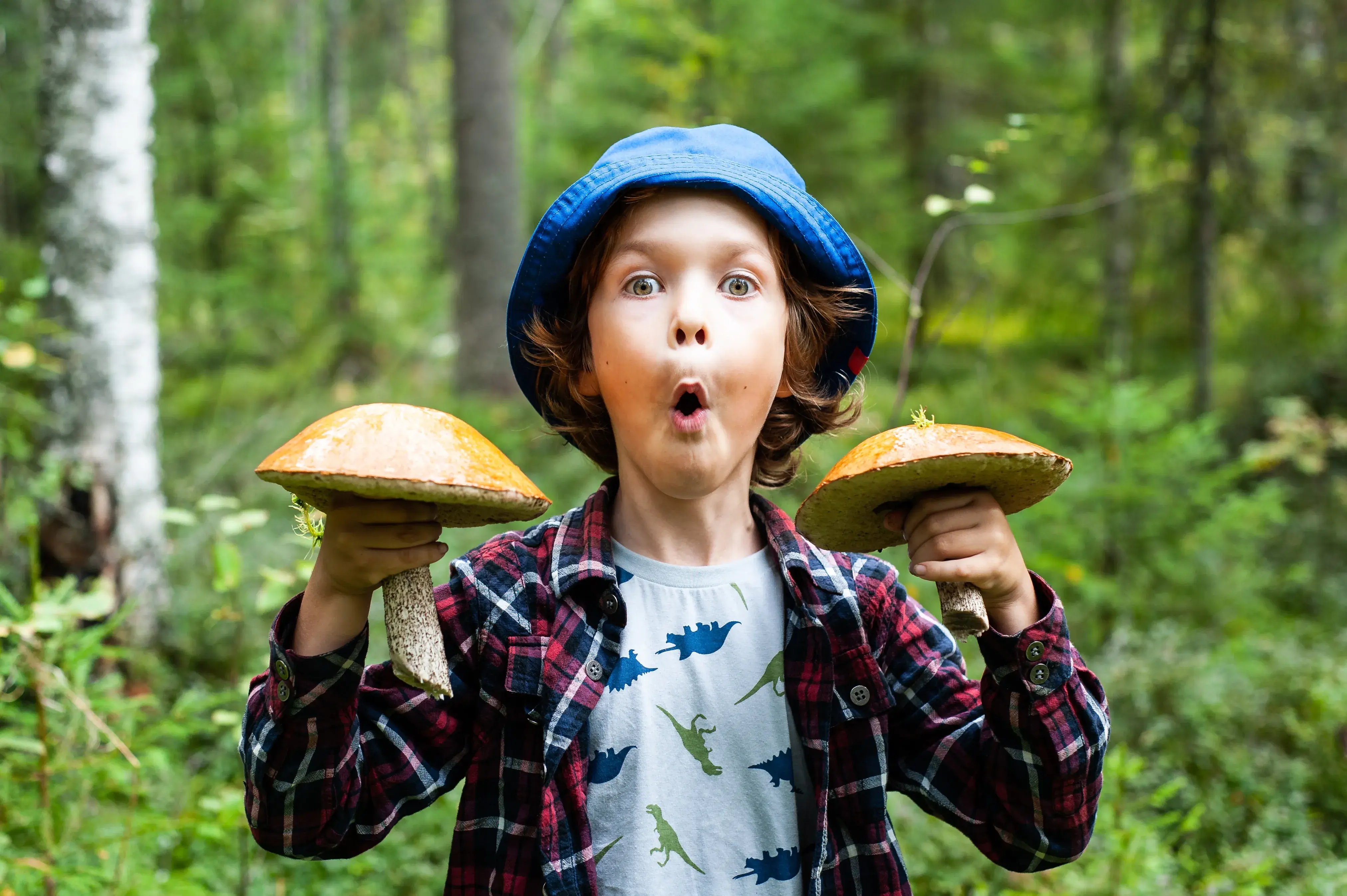 shutterstock2051088830.jpg