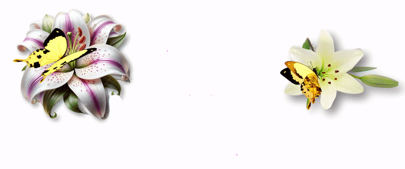 LillyBanner