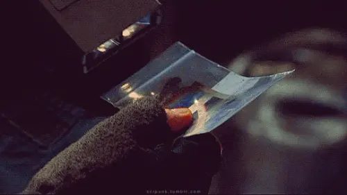 tumblr c08a6e85cac6e44fd02f6d2e7376fc93 4ecbdb7a 540