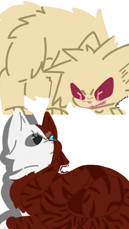 bv6Zv.png