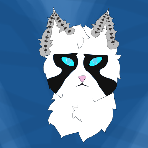 2026 02 18 0ma Kleki