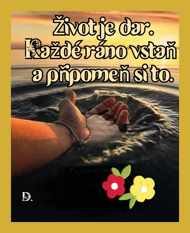 bv8yQ.gif