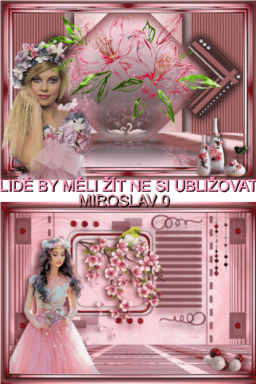 MIREK 0 (3)