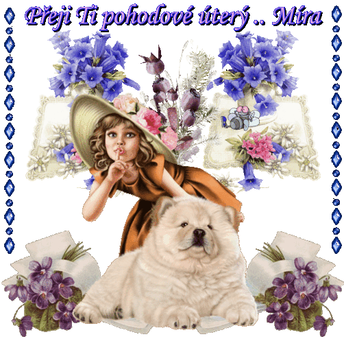 mira