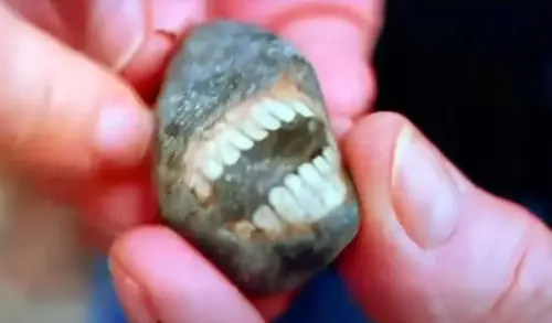 rock