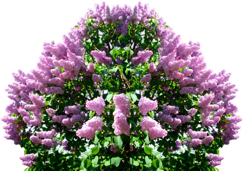 bvVKn.png