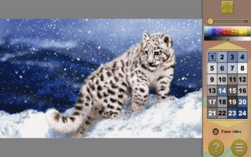 bvVb3.gif