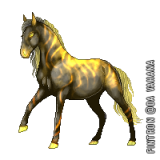 bvYG7