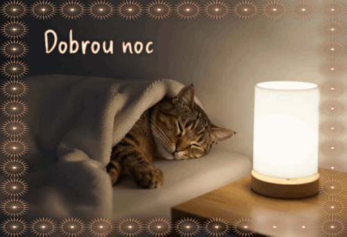 dobrou moc