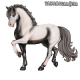 bvYGu