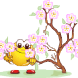 bvYiW