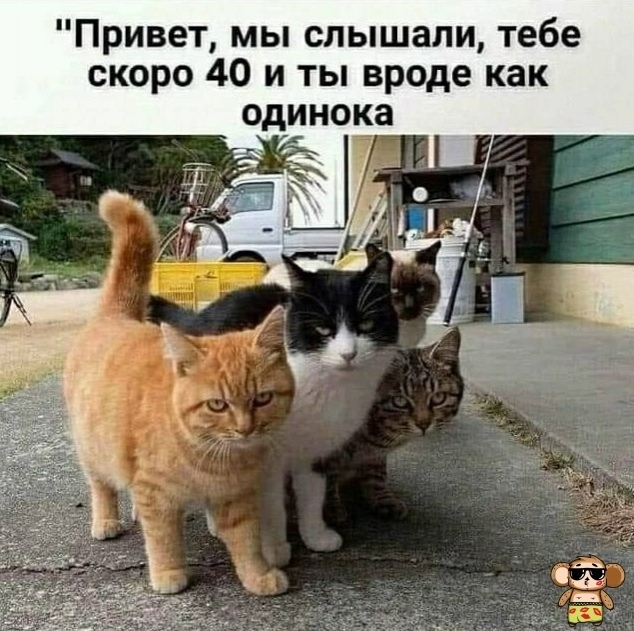 bvZSh.jpg
