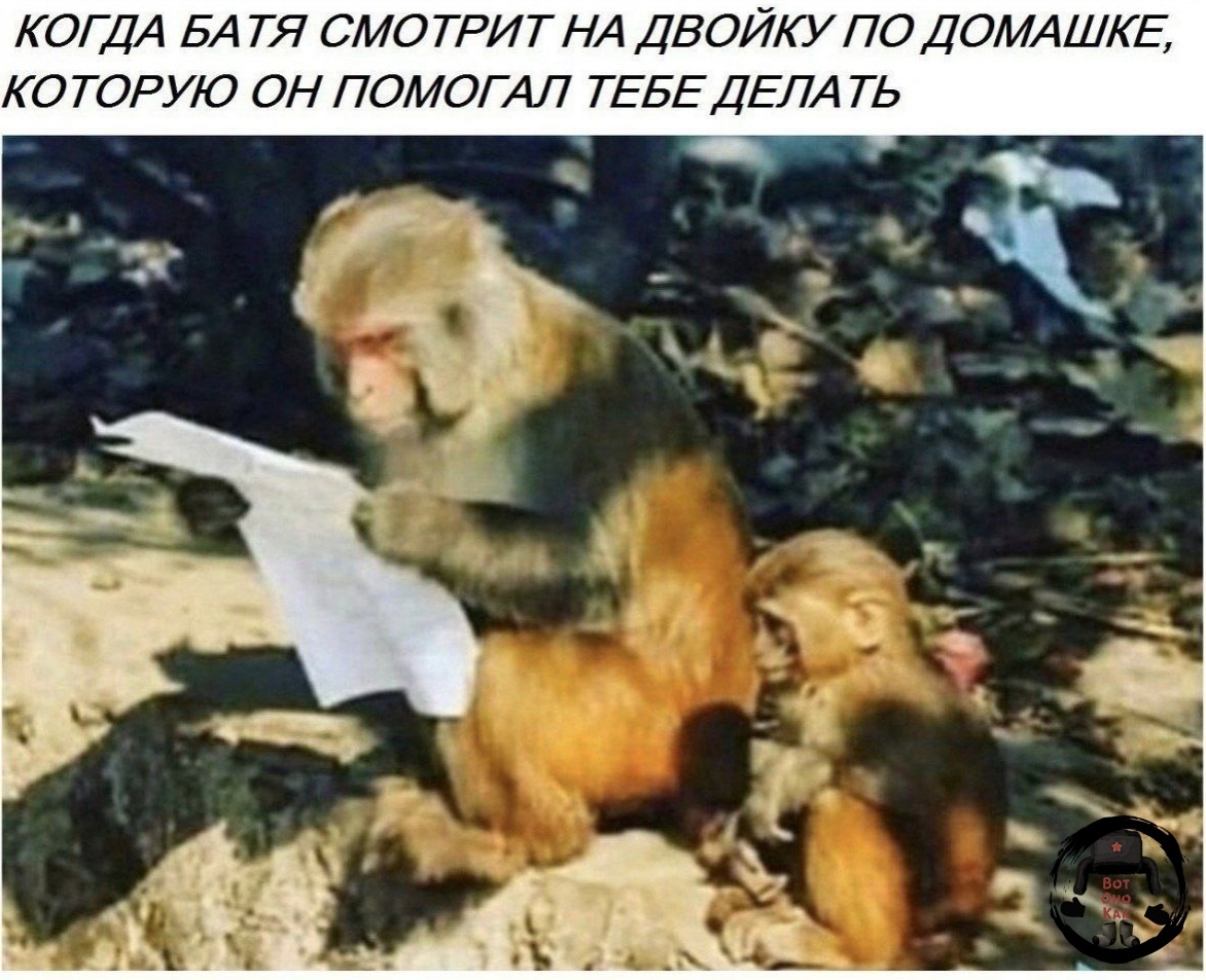 bvZSm.jpg