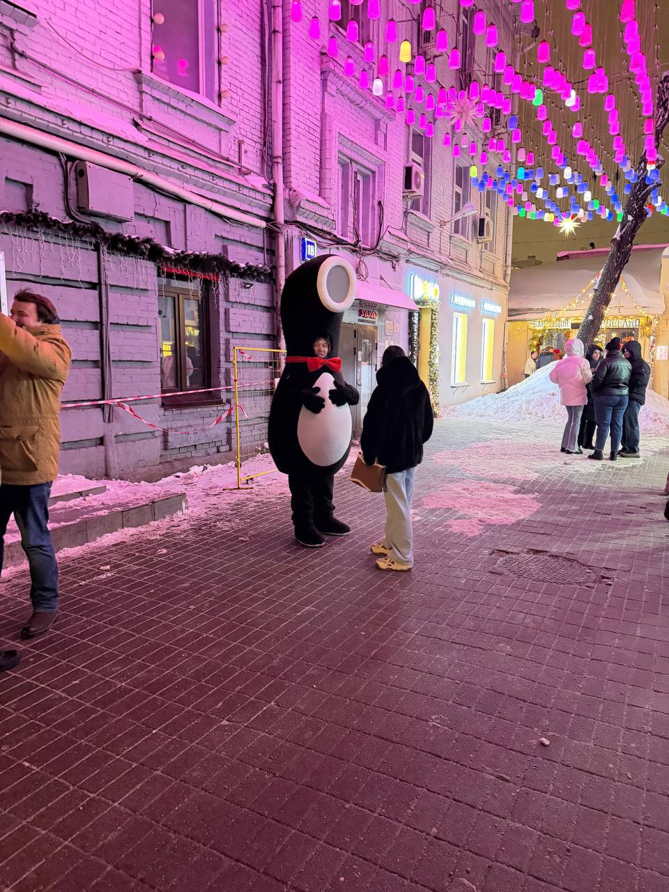 bvZSv.jpg
