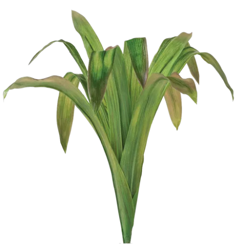bvaUB.png