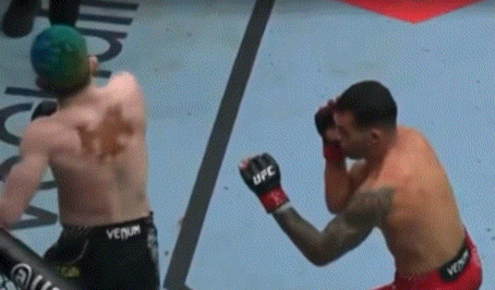 bvao8.gif
