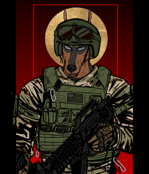 bvchp.png