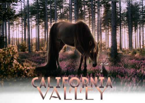 bve95.png