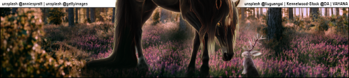 bve9a.png