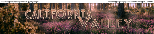 bve9f.png