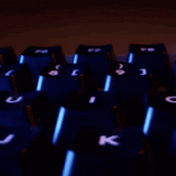 bvegP