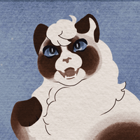 bvf9v.png