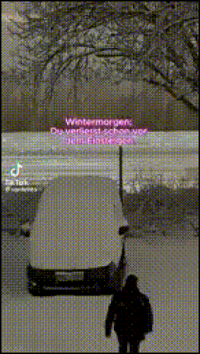 bvfJp.gif