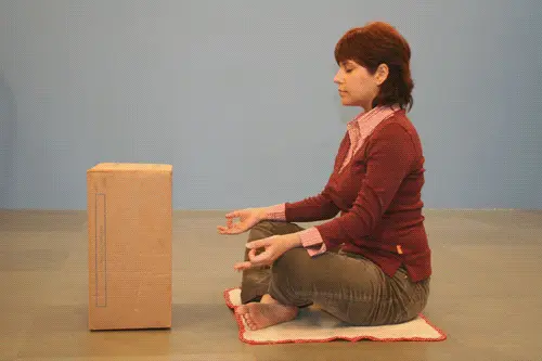 tumblr p2pvgcG3Lp1skn1oxo1 500