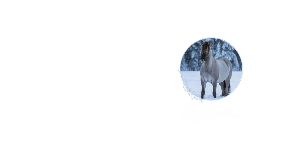 0rn2.png