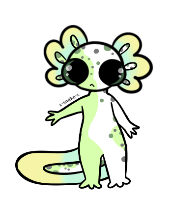 bvnT4.png