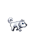 dog animation