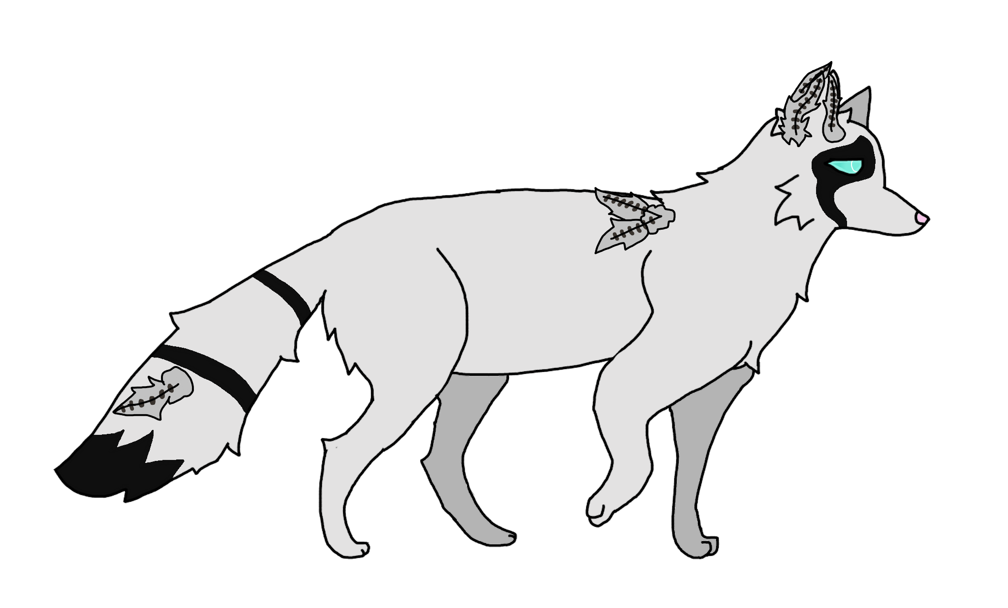 2026 02 17 0p5 Kleki