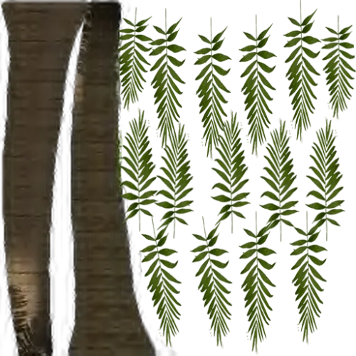 palmtree1